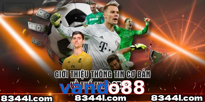 Giới Thiệu Thông Tin Cơ Bản Về Chuyên Mục Thể Thao vando88